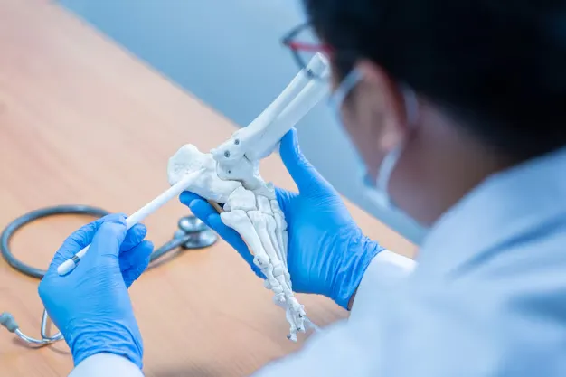 Expert Medical Billing: Top Orthopedics Medical Billing Company in Cicero