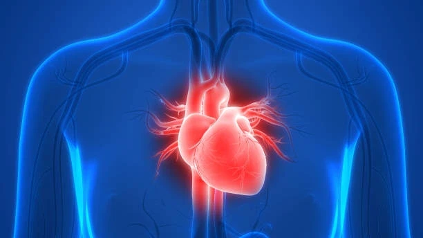 Expert Medical Billing: Leading Cardiology Medical Billing Company in Orland Park