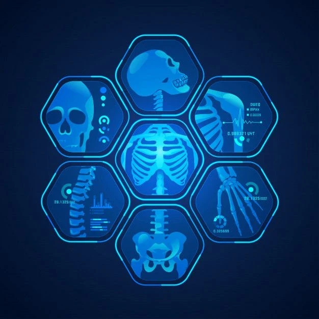 Neurology Billing Experts in Des Plaines | Expert MB